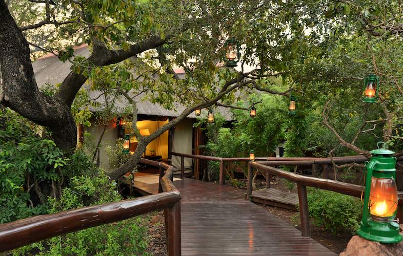 camp shonga elevated walkways at kruger national park in South Africa