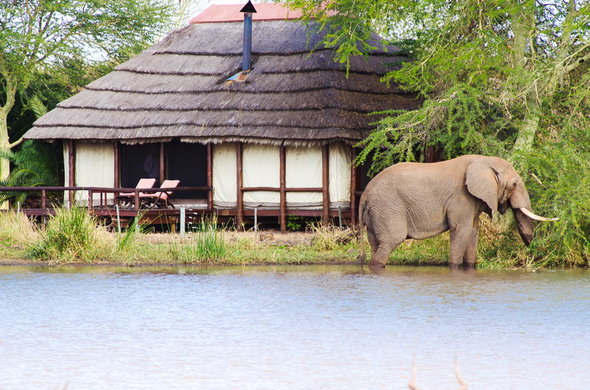 3 Day Relaxing Kruger Safari